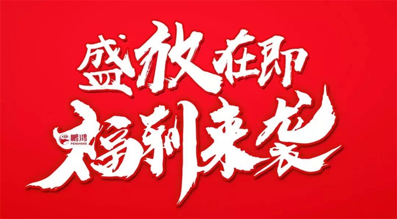 再拓疆域！鵬鴻We+定制&紅星美凱龍聯(lián)袂亮相烏魯木齊
